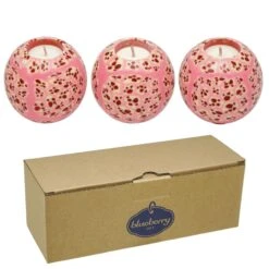 Dog & Cat Store -Dog & Cat Store 1 2 1