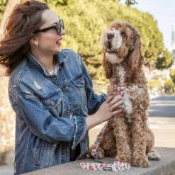 Petal Paws Floral Dog Harness For Stylish Canine Comfort -Dog & Cat Store 1