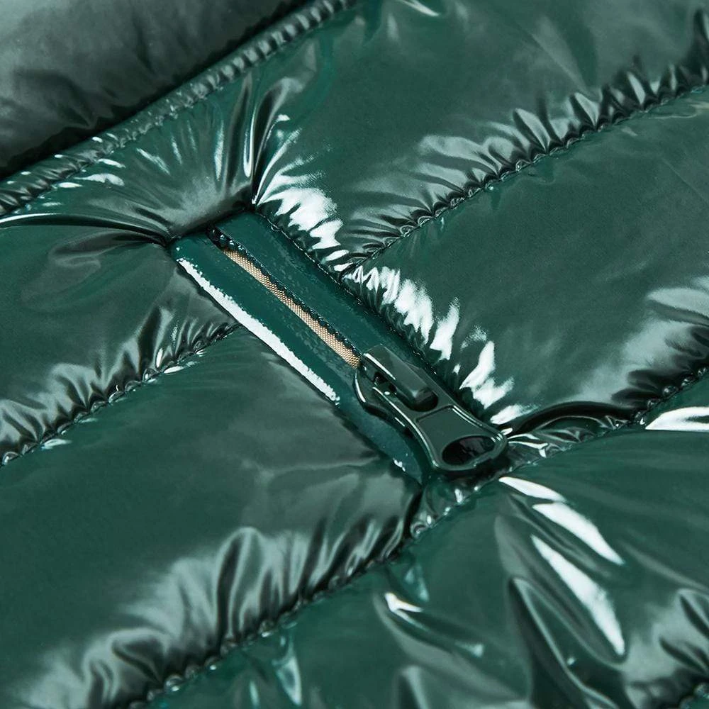 All-Weather Quilted Glossy Dog Puffer Jacket For Winter 20 All-Weather Quilted Glossy Dog Puffer Jacket For Winter - Image 20