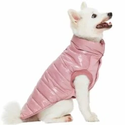 All-Weather Quilted Glossy Dog Puffer Jacket For Winter 23 All-Weather Quilted Glossy Dog Puffer Jacket For Winter -Dog & Cat Store 1010205047 2 8