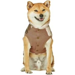 All-Weather Quilted Glossy Dog Puffer Jacket For Winter 31 All-Weather Quilted Glossy Dog Puffer Jacket For Winter -Dog & Cat Store 1010214049 11