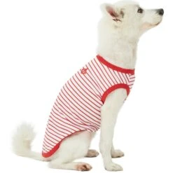 Summer Vacation Beach Dog T-shirts 2 Pack Sea Lover Shirts -Dog & Cat Store 1010402040 3 3fc0e466 5695 4548 9cd5 4aac9ab6ed2d