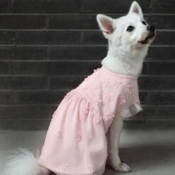 My Little Princess Dog Tulle Dress With Dainty Flower Style -Dog & Cat Store 1010407045 3 1 4