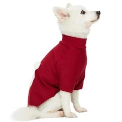 Festive Bear Dog Sweatshirt For Cozy Winter Days Attire -Dog & Cat Store 1010411042 2 255ad5f3 089f 4a56 8674 0a153fc2550f