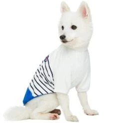 Summer Vacation Beach Stripes Design Matching Dog & Kid T-shirt, Blue -Dog & Cat Store 1010412049 2