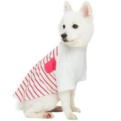 Summer Vacation Beach Stripes Matching Dog & Kid T-shirt Pink -Dog & Cat Store 1010413046 2