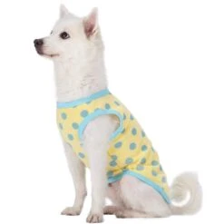 Pajamas | Affection Sleep & Play Dog Shirts 2 Pack Set -Dog & Cat Store 1010478021 2