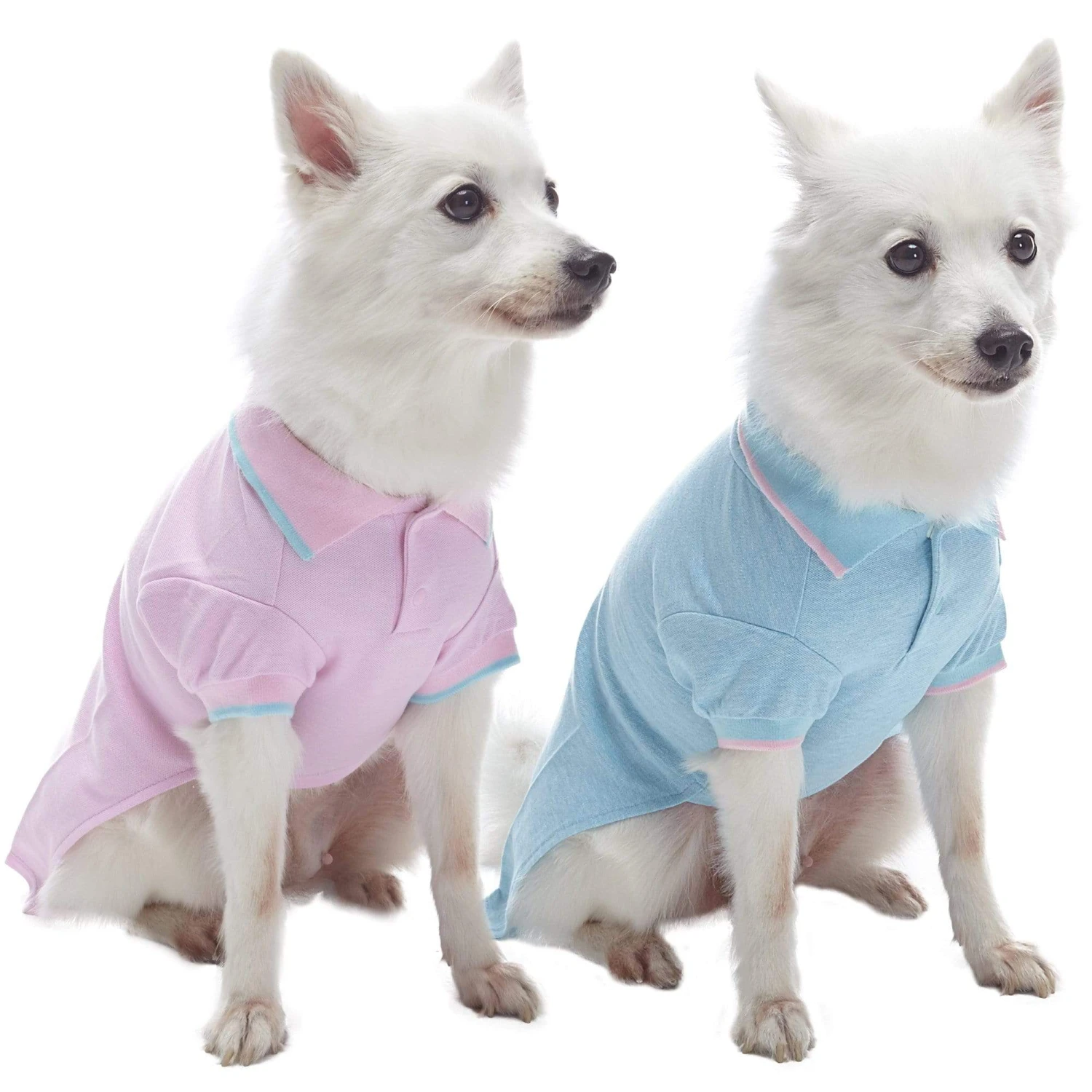 Cotton Blended Back To School Dog Polos, 2 Pack Set 1 Cotton Blended Back To School Dog Polos, 2 Pack Set