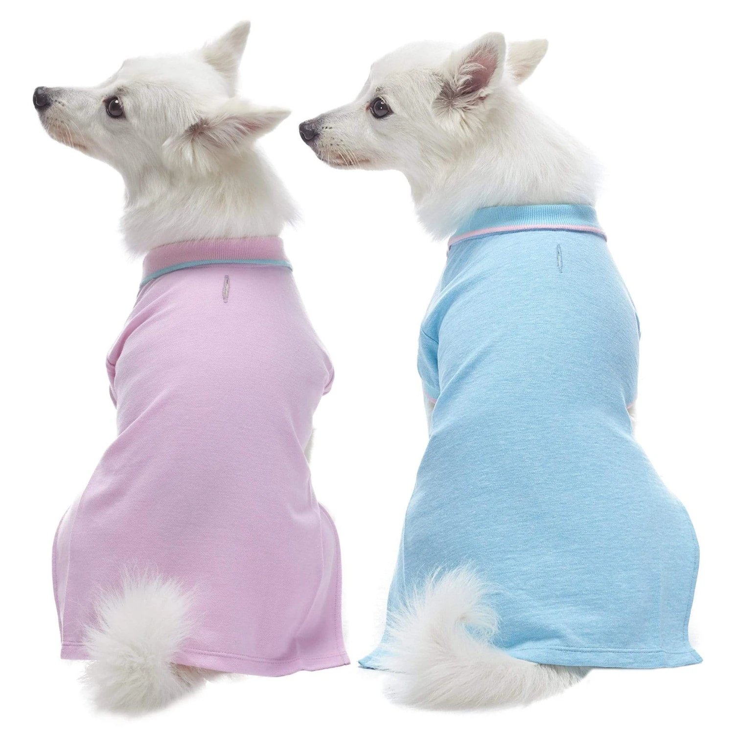 Cotton Blended Back To School Dog Polos, 2 Pack Set 2 Cotton Blended Back To School Dog Polos, 2 Pack Set - Image 2