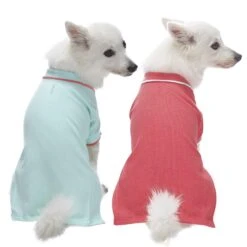 Cotton Blended Back To School Dog Polos, 2 Pack Set 27 Cotton Blended Back To School Dog Polos, 2 Pack Set -Dog & Cat Store 1010482042 2 564034b6 af17 4083 9685 33cd582b504d