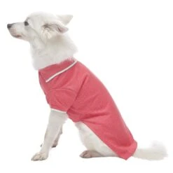 Cotton Blended Back To School Dog Polos, 2 Pack Set 29 Cotton Blended Back To School Dog Polos, 2 Pack Set -Dog & Cat Store 1010482042 4 12b2a5c4 70ca 48ff bbb1 b09ee7e86ba0