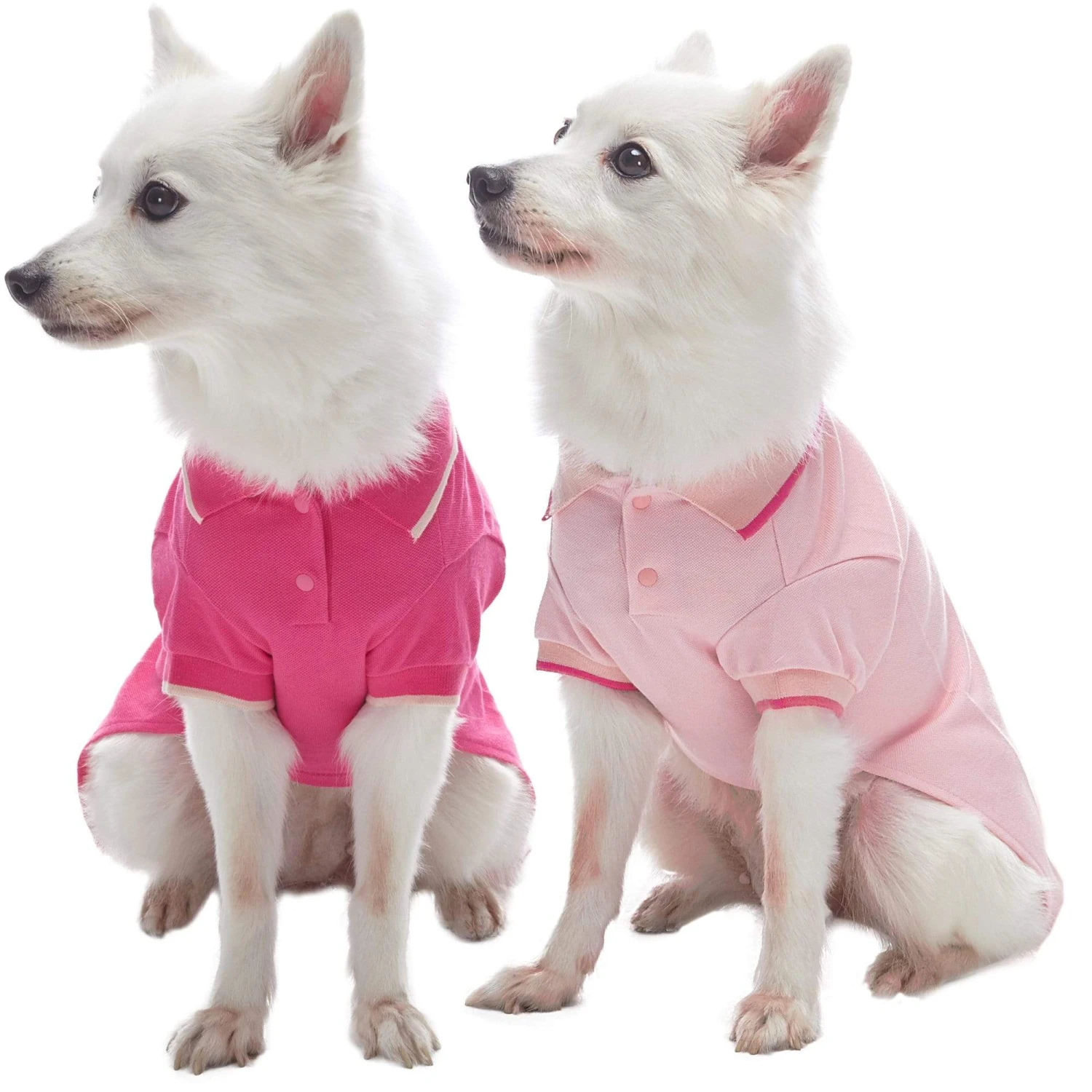 Cotton Blended Back To School Dog Polos, 2 Pack Set 13 Cotton Blended Back To School Dog Polos, 2 Pack Set - Image 13