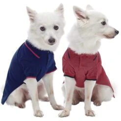 Cotton Blended Back To School Dog Polos, 2 Pack Set 38 Cotton Blended Back To School Dog Polos, 2 Pack Set -Dog & Cat Store 1010484046 1 4341be33 29d5 42f4 935d 97889fe83999