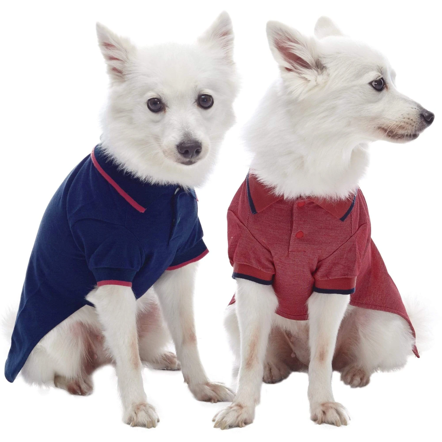 Cotton Blended Back To School Dog Polos, 2 Pack Set 19 Cotton Blended Back To School Dog Polos, 2 Pack Set - Image 19