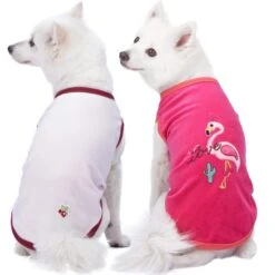 Pajamas | Vacation Scene Flamingo Dog Shirts, 2 Pack Set