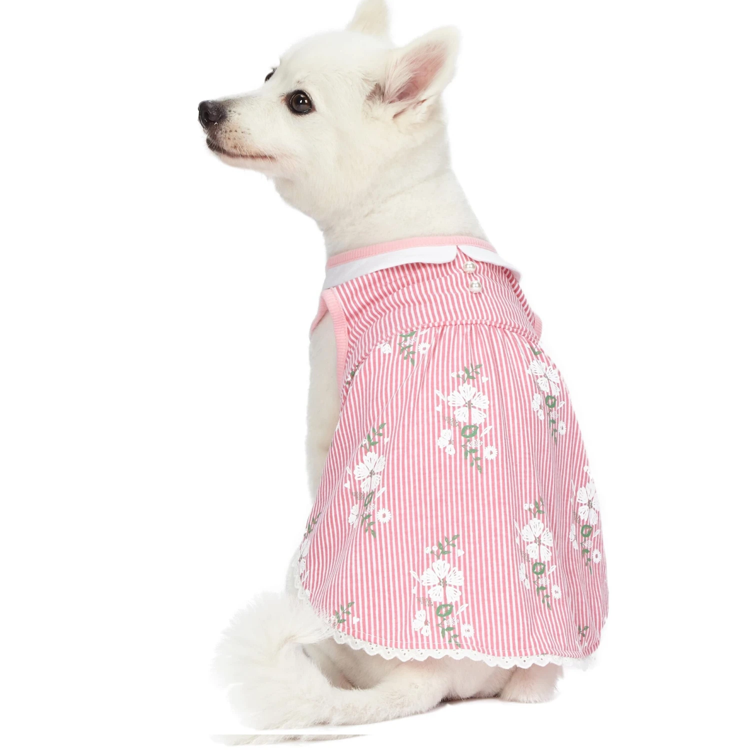 Wonderland Floral Dog Dress In Pink Stripe For Stylish Pups 1 Wonderland Floral Dog Dress In Pink Stripe For Stylish Pups