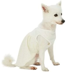My Little Princess Dog Tulle Dress For Elegant Pets Wear -Dog & Cat Store 1010502047 2