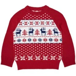 Holiday Family Matching Sweater In Tango Red For All -Dog & Cat Store 1010901048 1