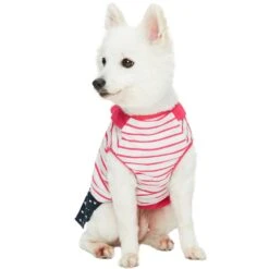 Dogs & Cats & Co. Denim Matching Dog & Kid Dress Pink -Dog & Cat Store 1011408041 7 1