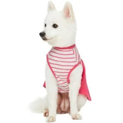 Dogs & Cats & Co. Pink Striped Matching Dog & Kid Dress -Dog & Cat Store 1011410044 6 2
