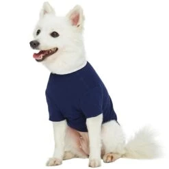 Dogs & Cats & Co. Sea You Soon Matching Dog & Kid T-shirt -Dog & Cat Store 1011411041 3