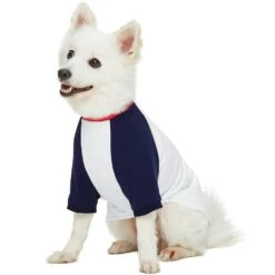 Dogs & Cats & Co. Down By The Sea Matching Dog & Kid T-shirt -Dog & Cat Store 1011413045 3