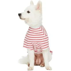 Dogs & Cats & Co. Saint Malo Matching Henley T-shirt Red -Dog & Cat Store 1011414042 6 4