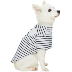 Dog & Cat Store -Dog & Cat Store 1011415049 5 4