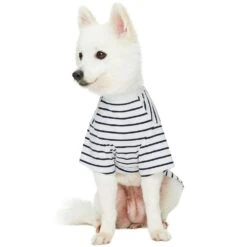 Dogs & Cats & Co. Saint Malo Matching Henley T-shirt Navy -Dog & Cat Store 1011415049 6 4