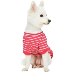 Dogs & Cats & Co. Saint Malo Sailor Collar Dog T-shirt -Dog & Cat Store 1011416046 6 4