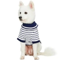 Dogs & Cats & Co. Saint Malo Sailor Collar Dog T-shirt -Dog & Cat Store 1011417043 6 5