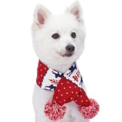 Holiday Family Matching Sweater In Tango Red For All -Dog & Cat Store 1020400043 1