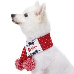 Holiday Family Matching Sweater In Tango Red For All -Dog & Cat Store 1020400043 2