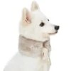 Dog Scarf With Princess-like Diamonds For Stylish Pets -Dog & Cat Store 1020404041 1