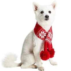 Holiday Family Matching Sweater In True Red For All -Dog & Cat Store 1020405048 7 e3b4dd17 8881 46ad bed8 33ffd7f2a6f1