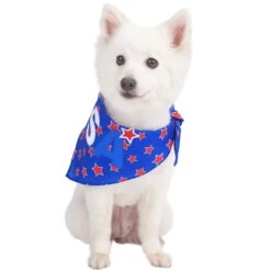 Patriotic 'USA' Designer Dog Bandana For Stylish Pets -Dog & Cat Store 1020501009 3 a8fc67e7 b634 429b a2f3 408601858f70
