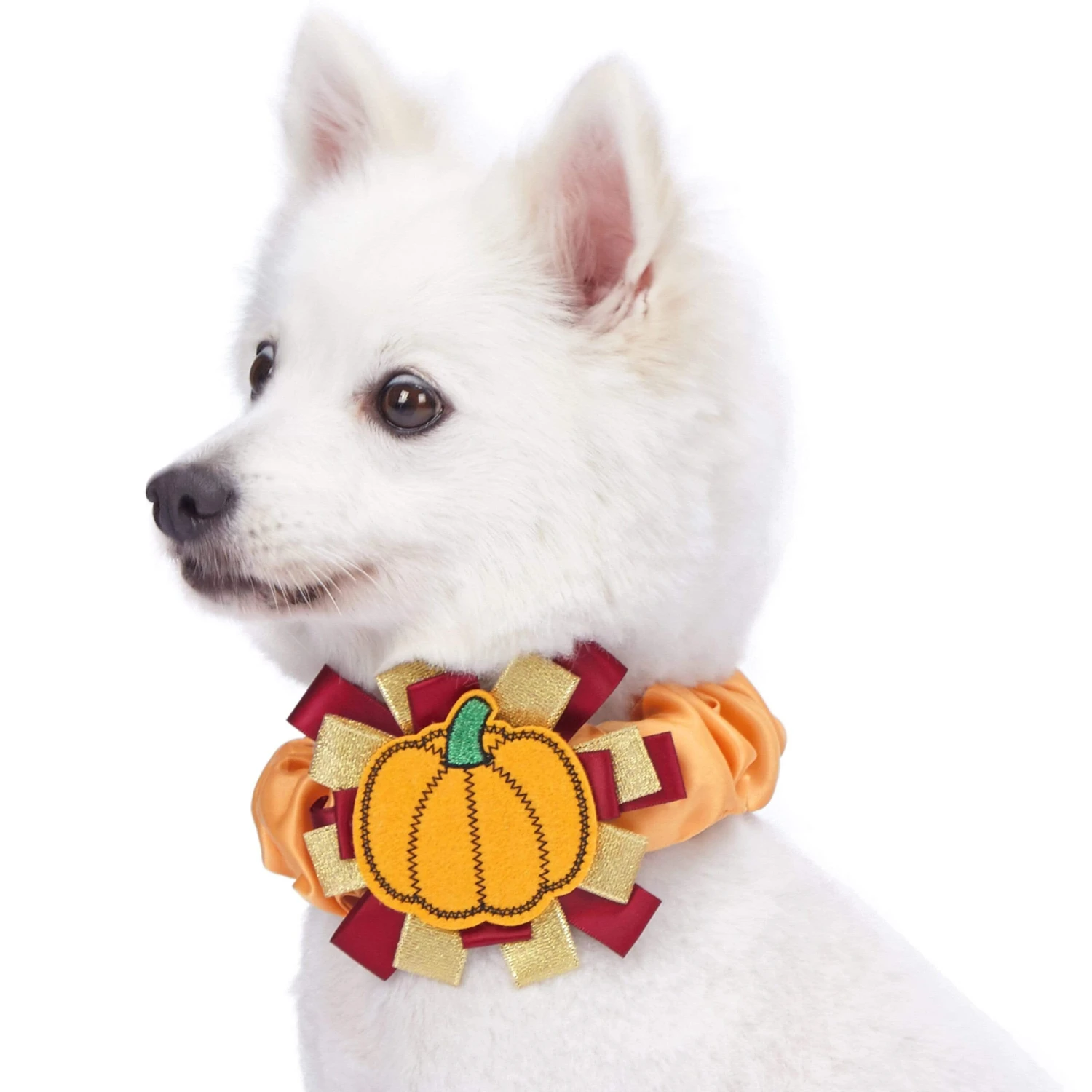 Fall Pumpkin Thanksgiving Dog Collar Cover Accessory For Pets 1 Fall Pumpkin Thanksgiving Dog Collar Cover Accessory For Pets