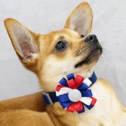 American Flag Collar Accessory Set For Pets And Dogs -Dog & Cat Store 1020910061 2