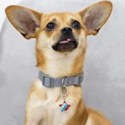 American Flag Collar Accessory Set For Pets And Dogs -Dog & Cat Store 1020910061 3