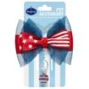 American Flag Collar Accessory Set For Pets And Dogs -Dog & Cat Store 1020911068 1
