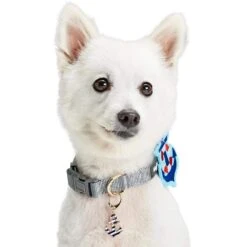 Nautical Dog Accessories Anchors Vacation Beach Pet Accessory Set -Dog & Cat Store 1020920008 4