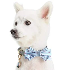 Nautical Dog Accessories Anchors Vacation Beach Pet Accessory Set -Dog & Cat Store 1020921005 3