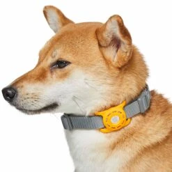 1 Pack AirTag Holder For Pet Collar, Orange Silicone Case