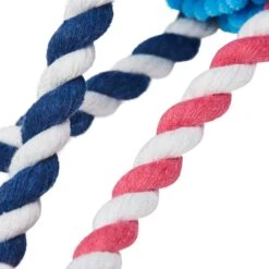 Dogs & Cats & Co. Interactive Chew Dog Toy - 1 Pack -Dog & Cat Store 1030900007 4