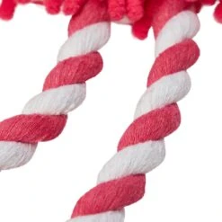 Dogs & Cats & Co. Interactive Chew Dog Toy - 1 Pack -Dog & Cat Store 1030903008 4