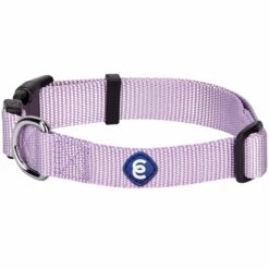 Classic Solid Color Adjustable Dog Collar, Purple Style
