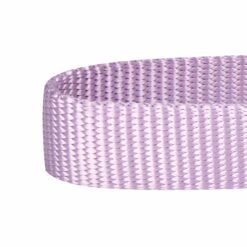 Classic Solid Color Adjustable Dog Collar, Purple Style -Dog & Cat Store 1040105027 3