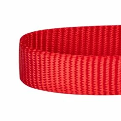 Classic Solid Color Adjustable Dog Collar, Pink/Red Design -Dog & Cat Store 1040107021 3 04a9c431 31c7 43a7 be52 8008b02fb5e3