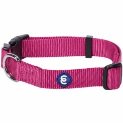 Classic Solid Color Adjustable Dog Collar, Purple Style -Dog & Cat Store 1040111028 1