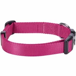 Classic Solid Color Adjustable Dog Collar, Purple Style -Dog & Cat Store 1040111028 2